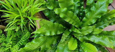 20210725_082631.jpg