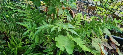 20210725_081907.jpg