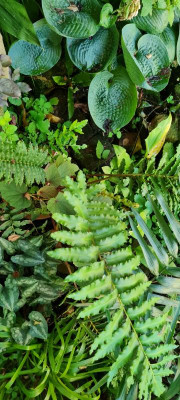20210725_081745.jpg