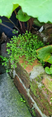 20210725_081538.jpg