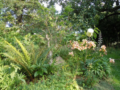 DSCN0995.JPG