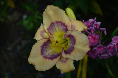 DSC_0080.JPG