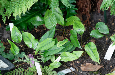 DSC_2519_DxO.jpg