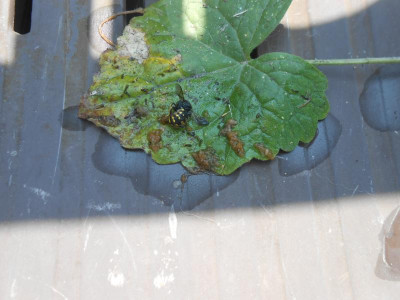 DSCN2339.JPG