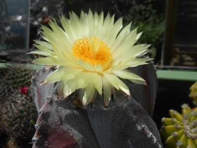 DSCN2344.JPG