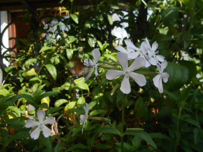DSCN2356.JPG