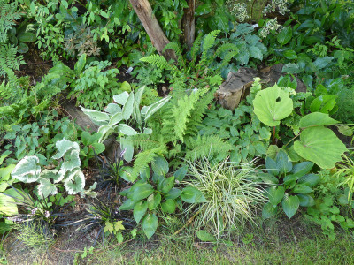 2021-07-25 Garteneinblick 1.jpg