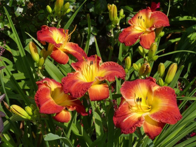 2021_0725JuliEndeGarten0088.jpg