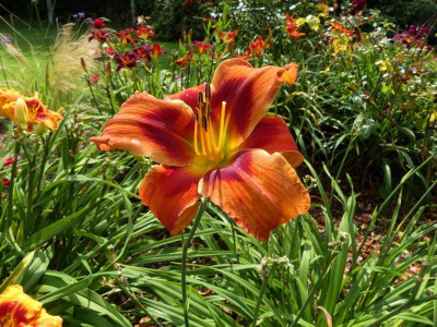 2021_0725JuliEndeGarten0084.jpg