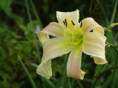 2021_0725JuliEndeGarten0007.JPG