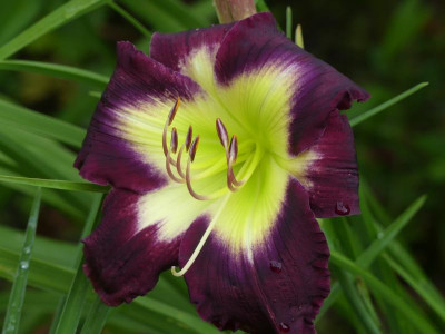 2021_0725JuliEndeGarten0013.jpg