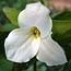 DSC02905ajpg.jpg