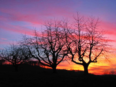 HIMMEL_MO_280108.jpg