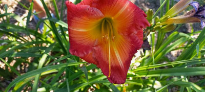 20210728_091032.jpg