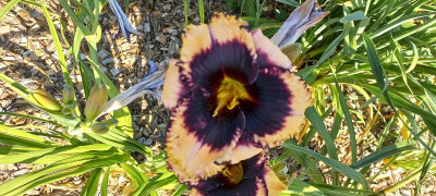 20210728_090459.jpg