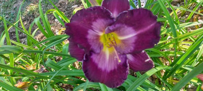 20210728_091012.jpg
