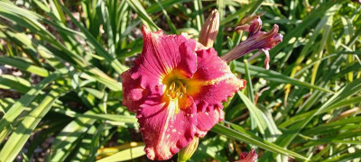20210728_090656.jpg