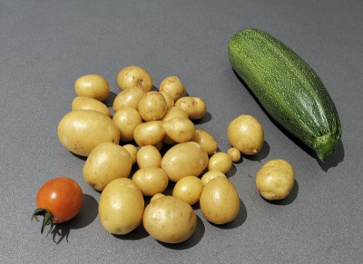 Ernte_20210727.jpg