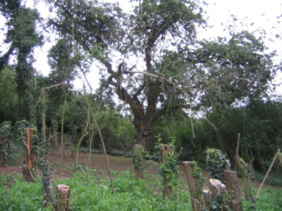 August_2007_007.jpg