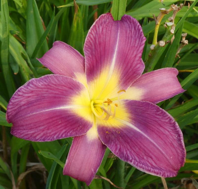 2021_0727JuliEndeGartenHems0017.jpg