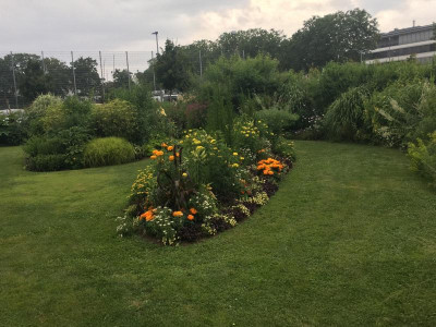 D73EC09D-9CAA-4737-98F4-D6E24CBD660B.jpeg
