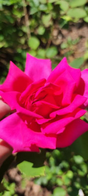 IMG_20210731_113904.jpg