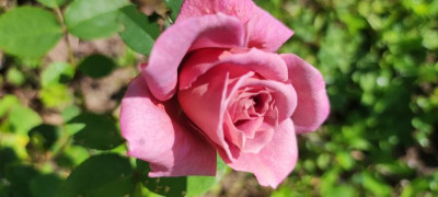 IMG_20210731_113958.jpg