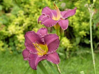2021_0731Juliletzter0017.jpg