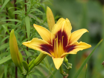 2021_0731Juliletzter0038.JPG