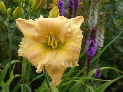 2021_0731Juliletzter0044.JPG