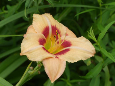 2021_0731Juliletzter0083.JPG