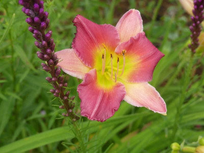 2021_0731Juliletzter0097.jpg