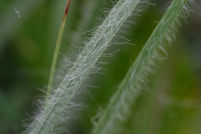 DSC_2604_DxO.jpg