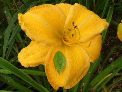 2021_0731Juliletzter0087.JPG
