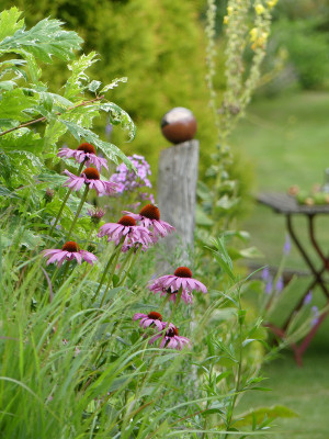 2021-07-31 Gartenimpressionen 2.jpg