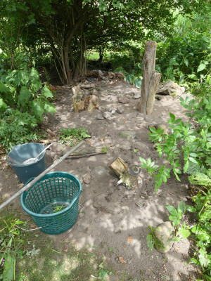 2021-07-31 Garteneinblick 2.jpg