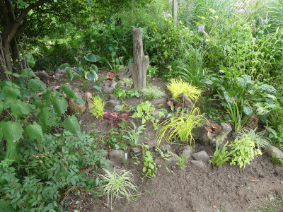2021-07-31 Garteneinblick 4.jpg