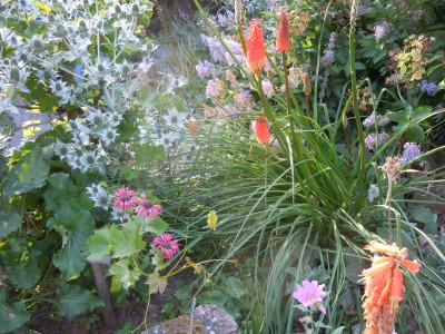 DSCN1037.JPG