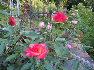 DSCN1041.JPG