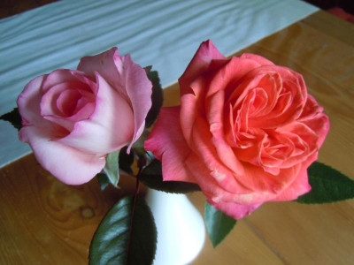 DSCN1052.JPG