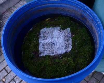 schwimmende Gärten9.jpg