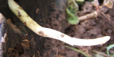 DSCF9630.JPG