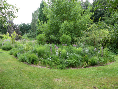2021-08-01 Garteneinblick 12.jpg
