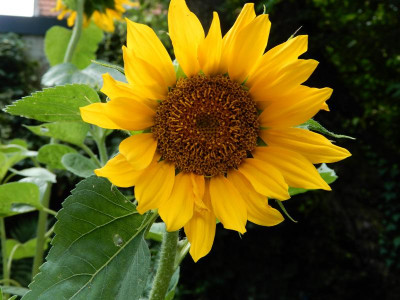 DSCN0838.JPG
