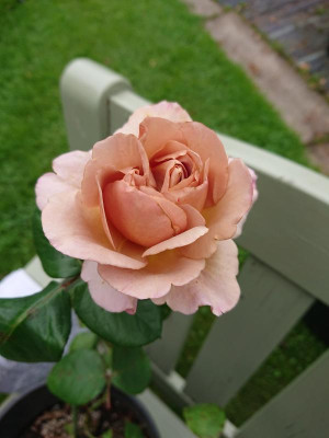 DSC_9780.JPG