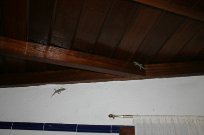 Casa_Azul2808.jpg