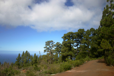 La_Palma9308.jpg