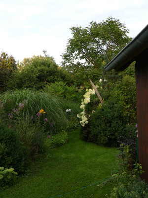 2021-08-04 Garteneinblick 1.jpg