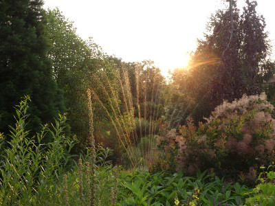 2021-08-04 Gartenimpressionen 1.jpg