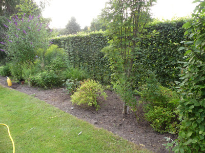 2021-08-04 Garteneinblick 3.jpg